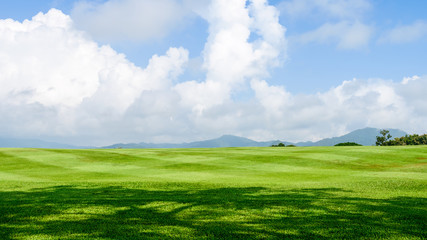 grass field background