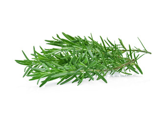 rosemary isolated on white background