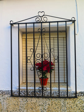 Poinsettia in barred window