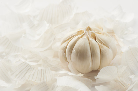 garlic