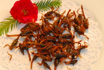 Obraz premium Scorpion