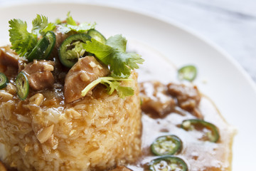 rice with chicken in soy sauce
