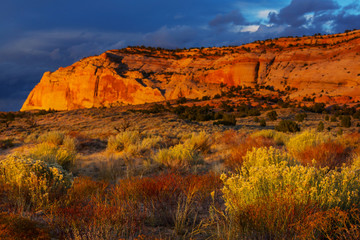 Utah landscapes