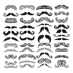 Vector mustache silhouette isolated - 132291775