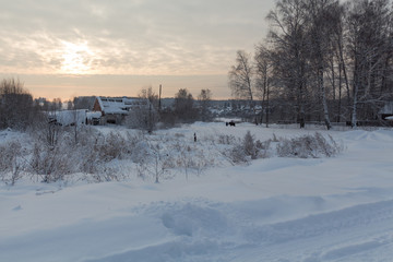 Countryside in the evening in winter time