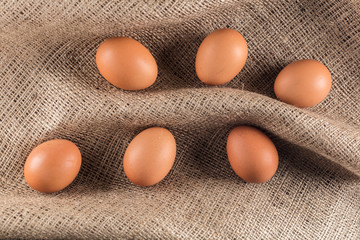 brown chicken eggs