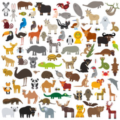 set Cartoon Animals from all over the world. Australia, North and South America, Eurasia, Africa isolated on white background. Vector