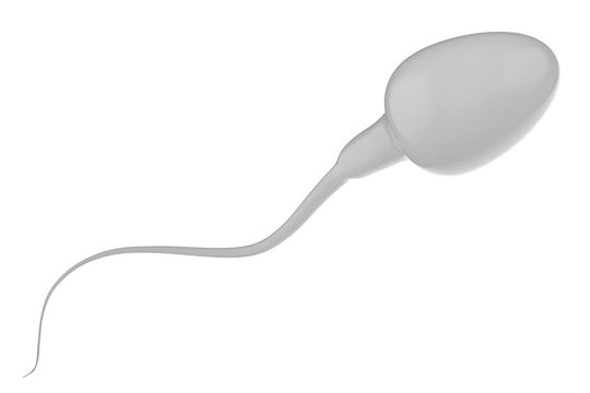 white sperm isolated on white