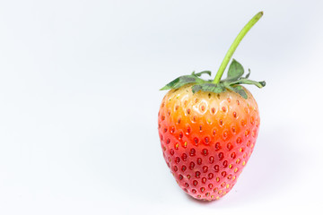 strawberry on white background