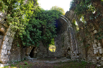 Fototapeta na wymiar Overgrown ruins of ancient church VI-VII century, Abkhazia