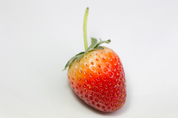 strawberry on white background