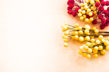 Background with decorative red and yellow berries