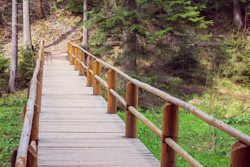 wooden bridge fenced by a fence in a pine forest