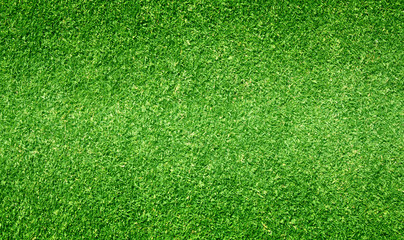 Grass field / Green grass background