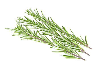 Fototapeta premium Fresh green sprig of rosemary isolated on a white background
