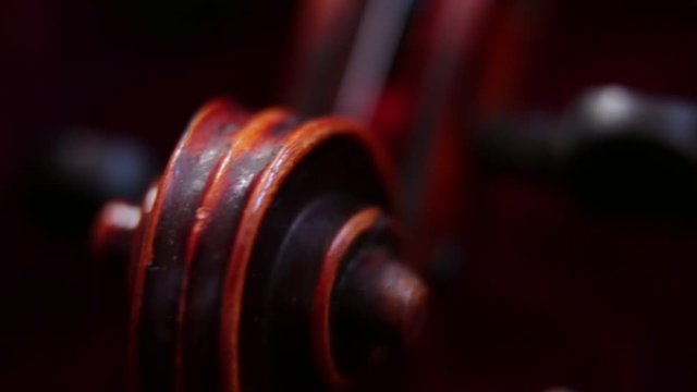 Classical Violin: macro shot of the head