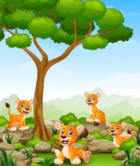 Obraz na płótnie Canvas Cartoon lioness group in the jungle