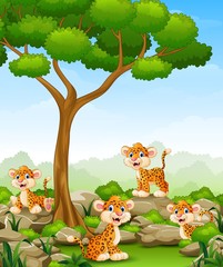 Obraz na płótnie Canvas Cartoon leopard group in the jungle
