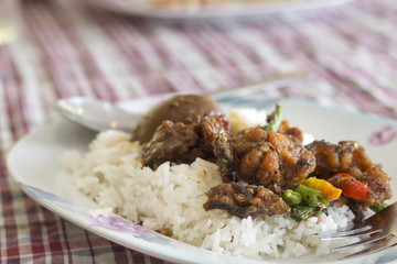 Rice with Eggs and pork in brown sauce