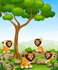 Cartoon lions group in the jungle