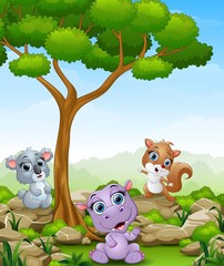 Cartoon hippo with koala and squirrel in the jungle © dreamblack46