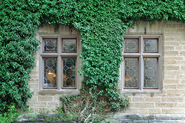 Fototapeta na wymiar The front facade of the old historical building of stone blocks with curly green ivy.