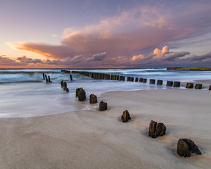 concept green house built of leaves standing on a green, ecological field