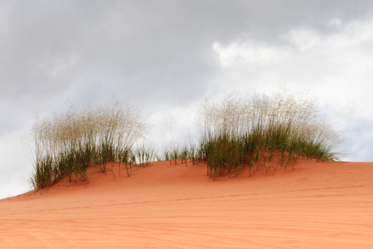 Coral Pink Sand Dunes, Utah