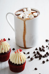hot chocolate with mini marshmallows