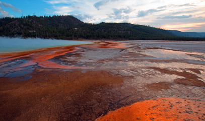 Organge microbial swirls in the Grand Prismatic Spring at sunset in the Midway Geyser Basin along the Firehole River in Yellowstone National Park in Wyoming USA