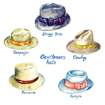 Gentlemen's hats types: Stingy Brim, Campaign, Panama, Porkpie, Cowboy,  hand painted watercolor illustration