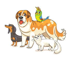 Dogs, a cat and a parrot standing together