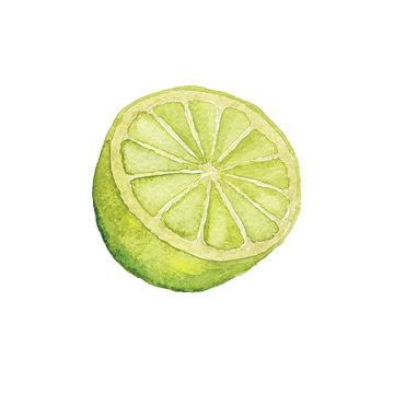 Watercolor Lime Hand-Painted Isolated