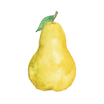 Watercolor Yellow Pear Fruit Hand-Painted Isolated