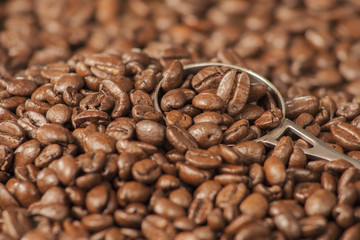 Coffee beans 