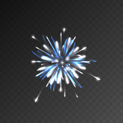 Festive patterned firework bursting sparkling pictogram against transparent mesh. Background abstract vector isolated illustration