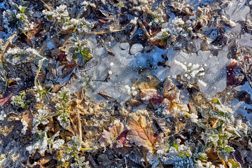 Winter field with ice leaves and ground