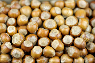 Hazelnuts