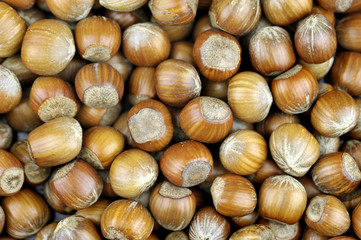 Hazelnuts