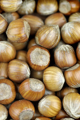 Hazelnuts