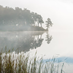 morning mist on the lake
