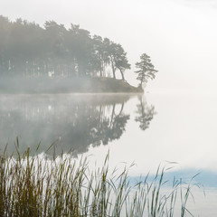 Fototapeta premium morning mist on the lake