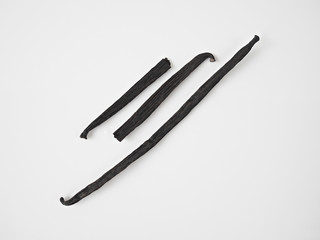 Vanilla Pods isolated