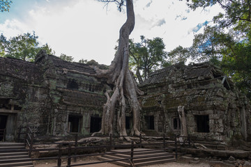 Ta Prohm Tombraider Temple