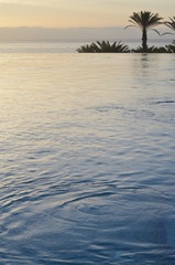 Good Morning View with Palms Pool and Ocean Landscape