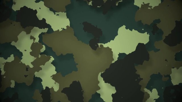 Camouflage military background