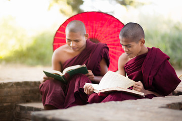 Young buddhist novice monk reading and study outside monastery, Bagan Myanmar