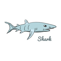 Cute cartoon shark
