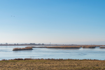 Ferto-Hansag National Park with lookout tower, Hungary