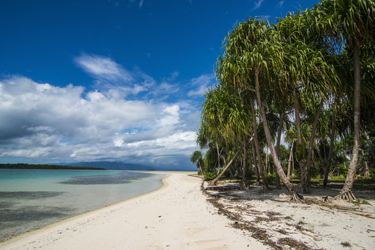 Turquoise water and white sand beach, White Island, Buka, Bougainville, Papua New Guinea